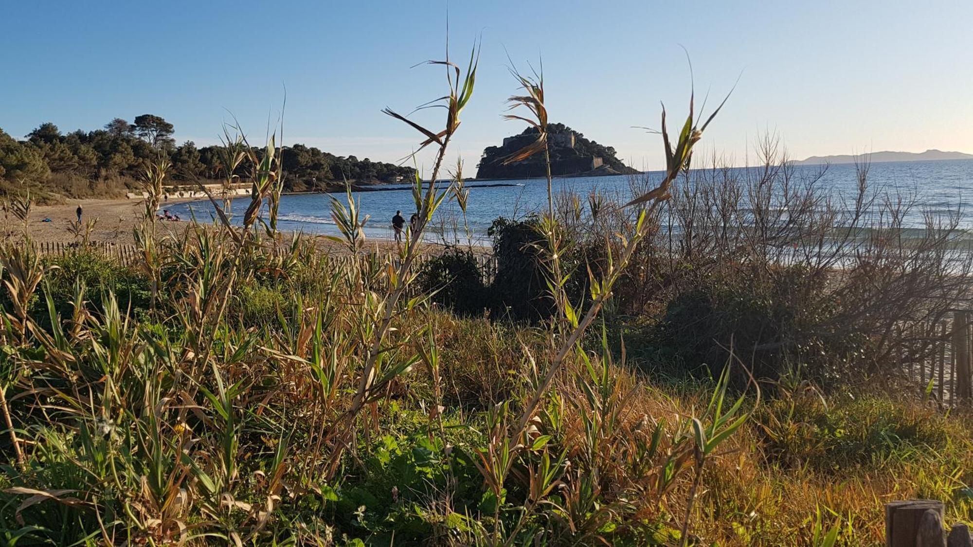 Rez De Jardin T3 Recent Et Calme Au Nouvelles Terres A La Londe Les Maures Lejlighed Eksteriør billede