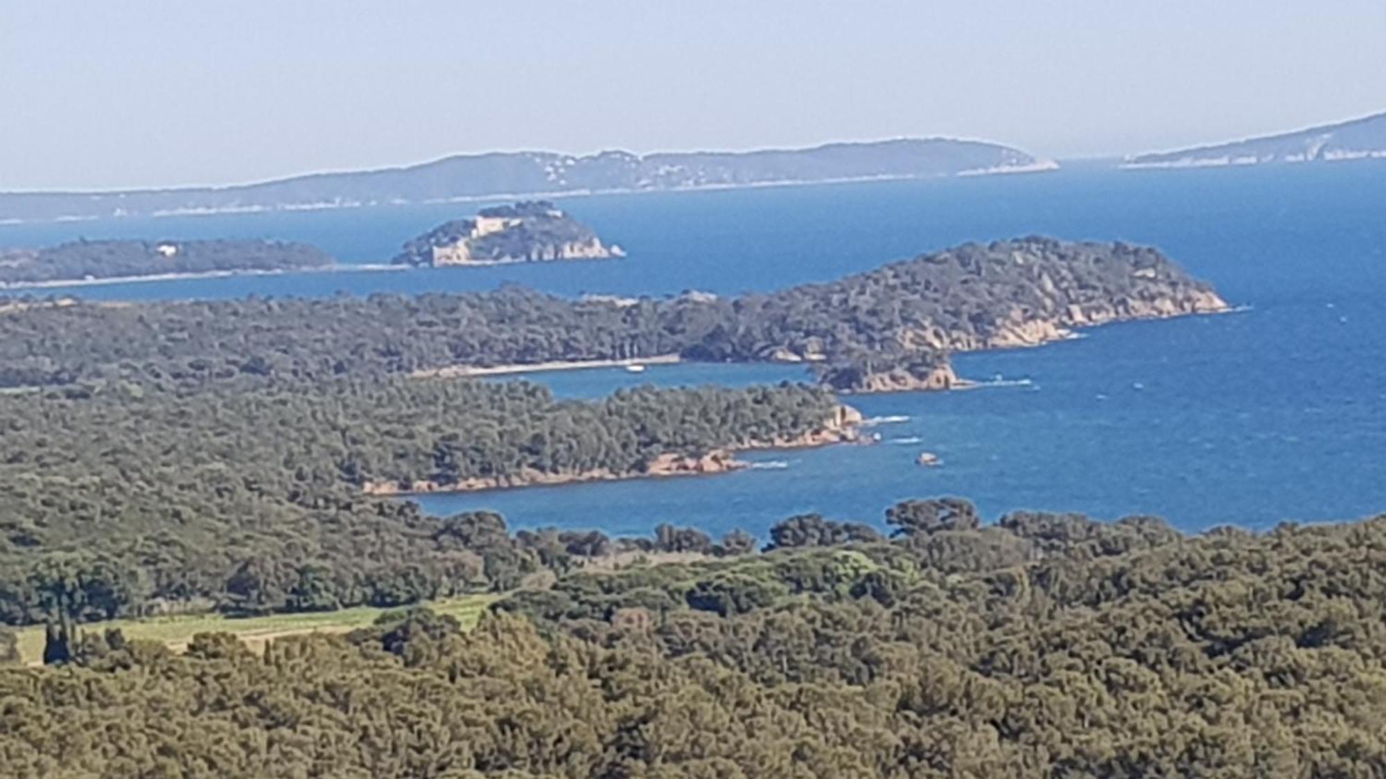 Rez De Jardin T3 Recent Et Calme Au Nouvelles Terres A La Londe Les Maures Lejlighed Eksteriør billede