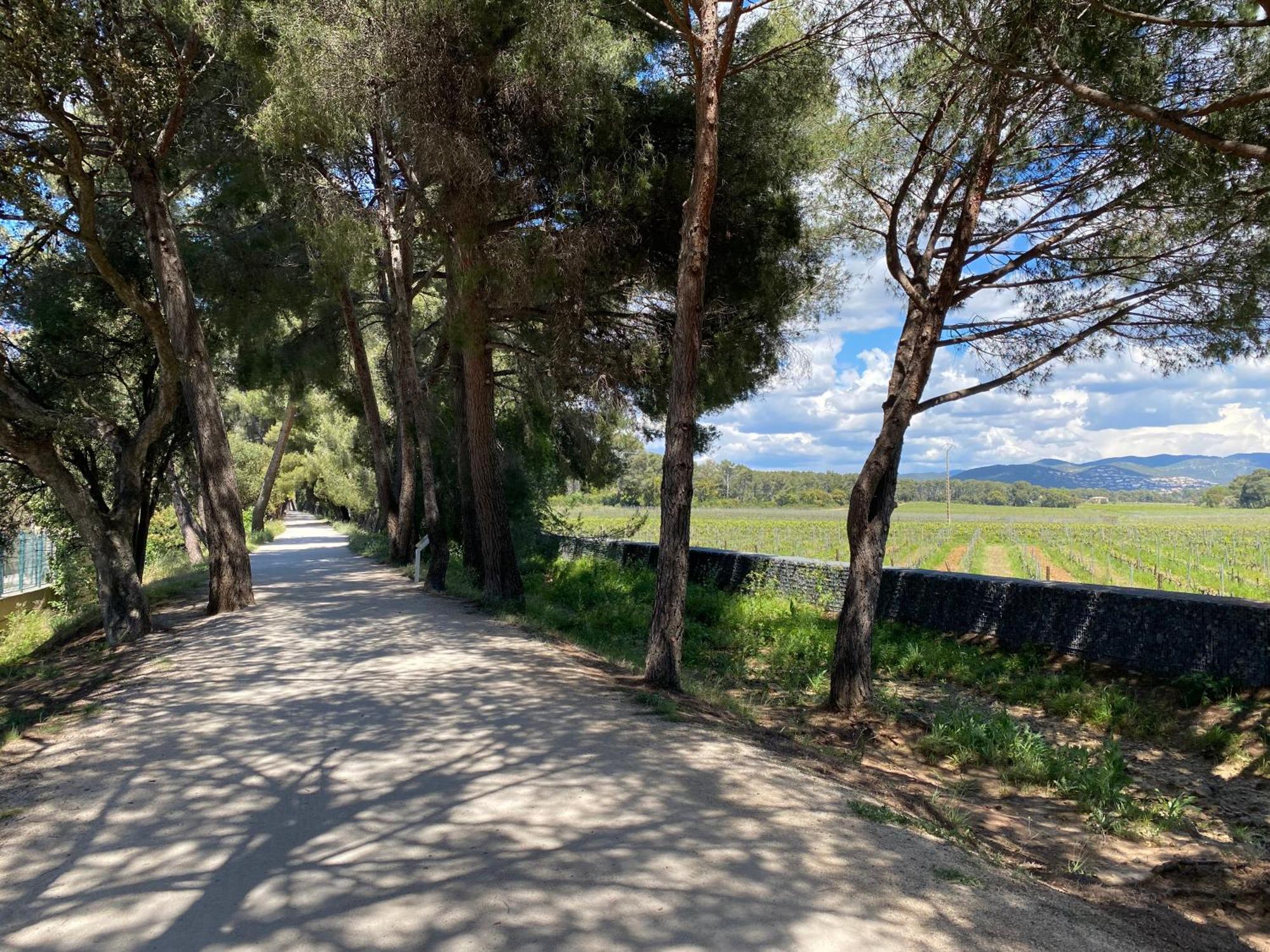 Rez De Jardin T3 Recent Et Calme Au Nouvelles Terres A La Londe Les Maures Lejlighed Eksteriør billede